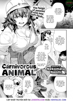 MwHentai.Net - Đọc Carnivorous Animal Online